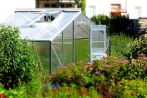 Grow Your Green Thumb: Learn the Art of Balcony Gardens!